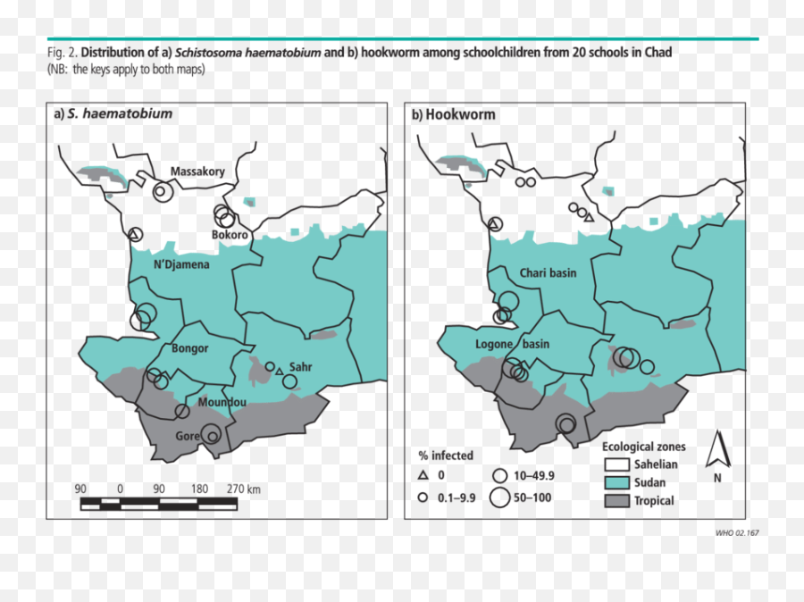 Shows The Distribution Of Helminth Infections In Chad By - Atlas Png,Chad Png