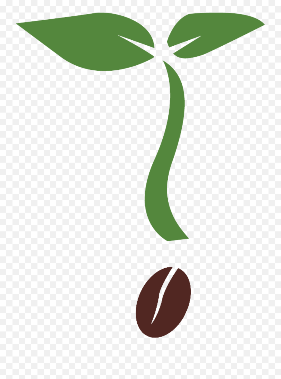 Houseplant Flowerpot Guiana Chestnut - Plantas Con Macetero Png,House Plant Png