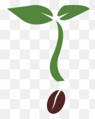 Houseplant Flowerpot Guiana Chestnut - Plantas Con Macetero Png,House Plant Png