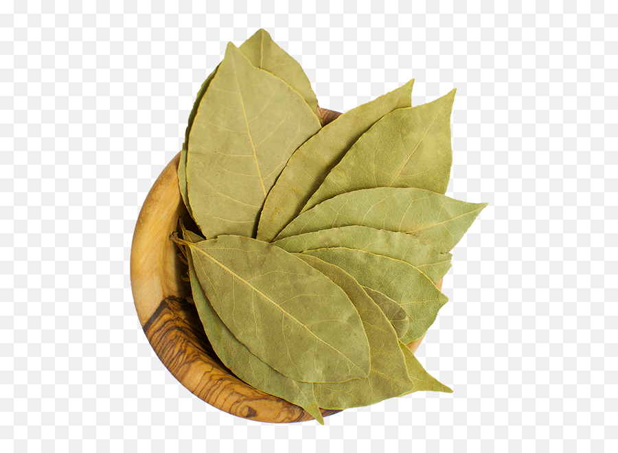 Bay Leaves Whole - Southern Style Spices Bay Leaves Image Png Hd,Laurel Leaves Png