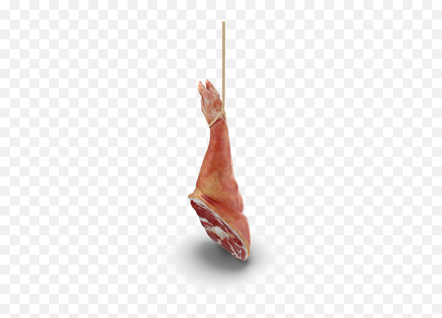 Download Ham Png Pic - Prosciutto,Ham Png