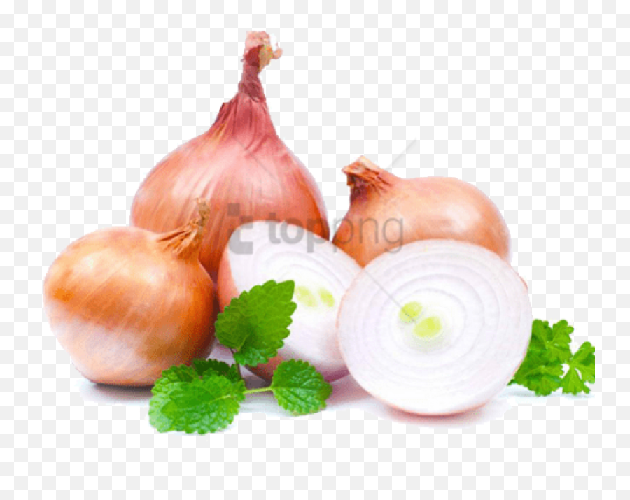 Onion Change Eye Color Png Images - Onions And Garlic Transparent,Onion Transparent Onion Change Eye Color Png Images - Onions And Garlic Transparent,Onion Transparent