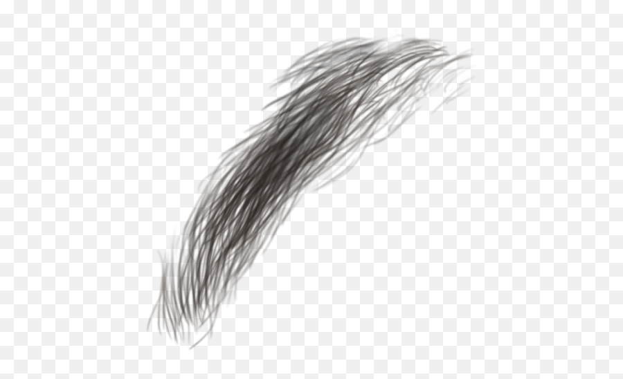 Thick Eyebrows Transparent Png - Transparent Hair Texture Png,Eyebrows Png
