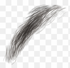 Thick Eyebrows Transparent Png - Hair Texture