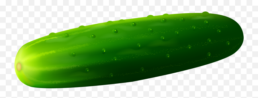 Cucumber Png Image For Free Download - Clipart Cucumber,Cucumber Transparent