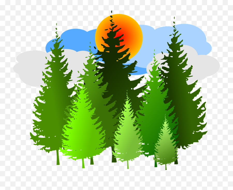 Forest Clipart Png - Forest Clipart,Forest Tree Png