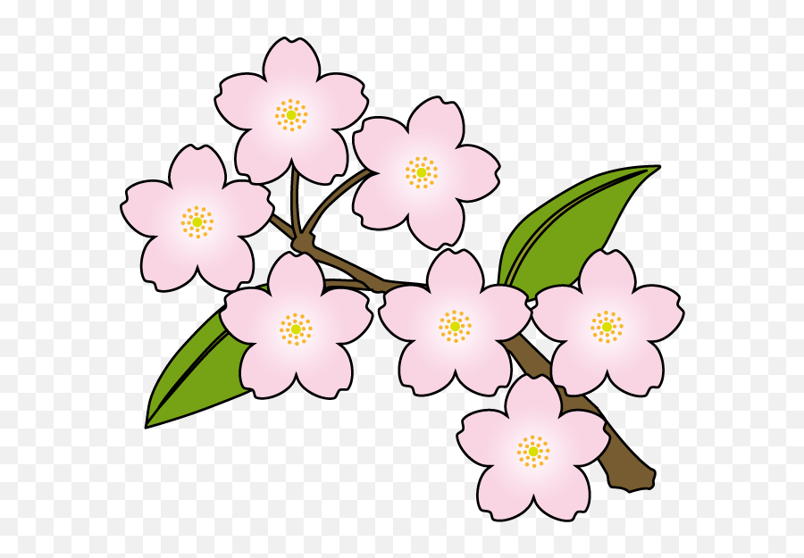 Japanese Flowers Clipart - Sakura Flowers Clip Art Png,Japanese Flower Png