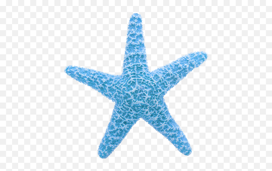 Starfish Clipart Png - Starfish Animation,Starfish Clipart Png
