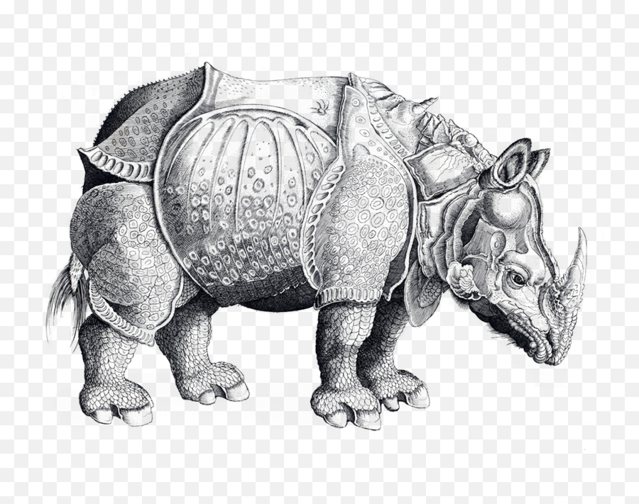 Tattly Temporary Tattoos - Rhinoceros Png,Rhinoceros Png