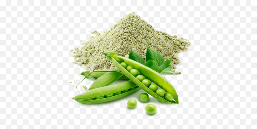Natural Pea Protein Activar Nutrifarma - Real Peashooter Png,Protein Png