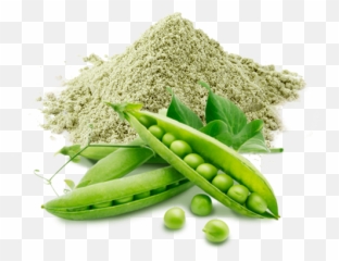 Natural Pea Protein Activar Nutrifarma - Real Peashooter Png,Protein Png