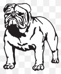 Dc11240 - Clip Art English Bulldog Silhouette Png,British Icon Bulldogs