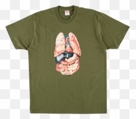 Guts - Supreme F W 18 Guts Tee Png Download Original Size Supreme Fw18 Guts Tee,Supreme Shirt Png