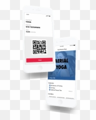 Adobe Xd - Frogstone png