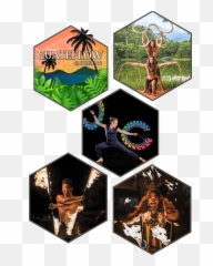 Guateflow - Poi and Retreats with Vojta Stolbenko Palm Trees png