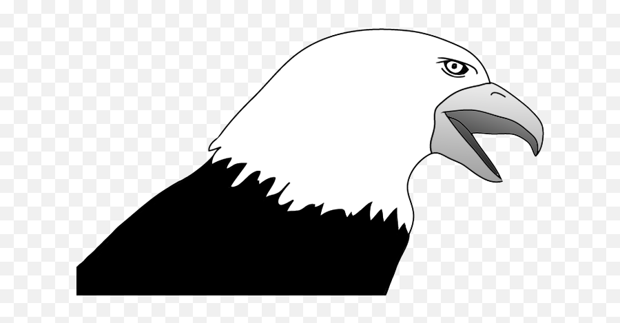 Bald Eagle Drawings - Bald Eagle Png,Eagle Head Png