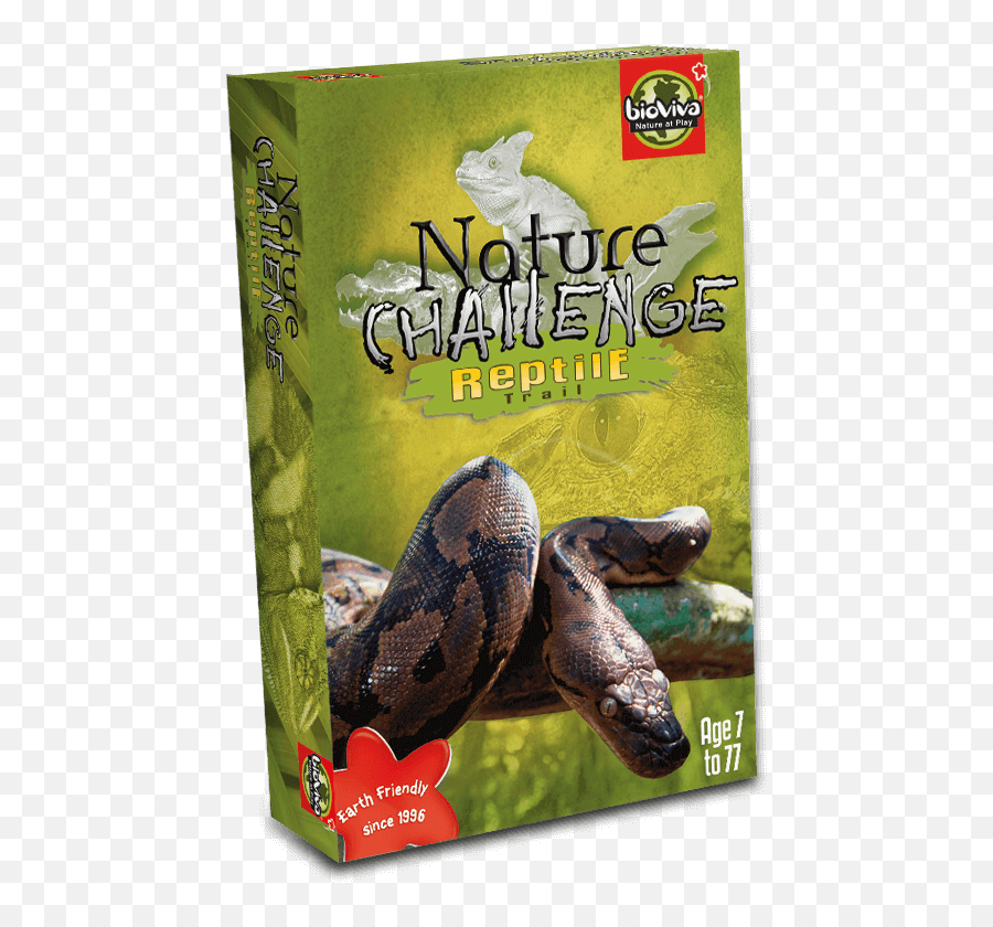 Nature Challenge - Reptiles Boa Constrictor Png,Reptiles Png