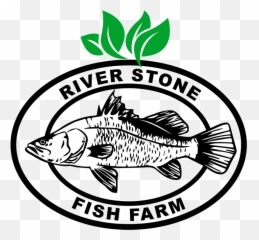 Dead Clipart Stinky Fish - Boston United Fc Png,Dead Fish Png