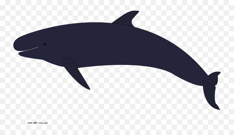 Orca Clipart 5 Fans - Wikiclipart Killer Whale Png,Orca Png