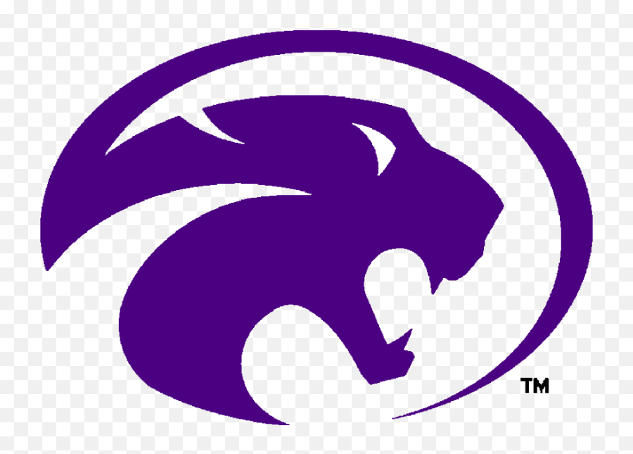 Community Homepage - Liberty Hill Isd Panther Png,Panther Logo Png