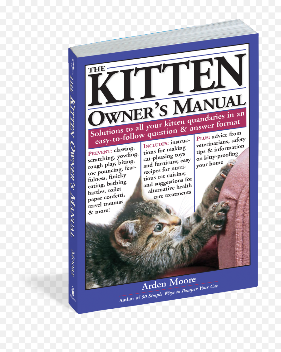 The Kitten Owneru0027s Manual - Domestic Cat Png,Kittens Png