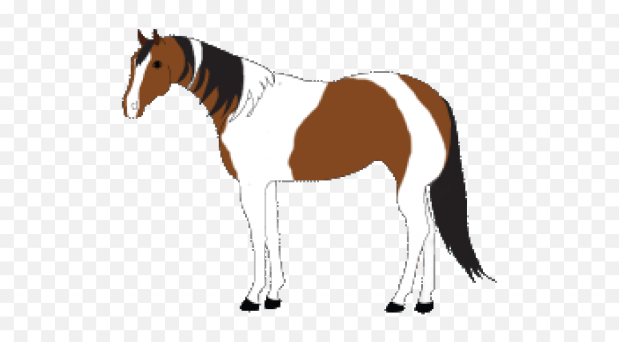 Paint Clipart Horse - Stallion Png Download Full Size Stallion,Horse Clipart Png