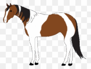 Paint Clipart Horse - Stallion Png Download Full Size Stallion,Horse Clipart Png
