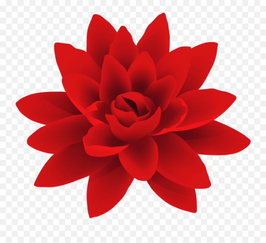 Flowers Png Tumblr - Red Flower Png Transparent Background Red Flower Border,Red Flowers Png