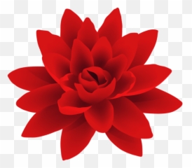 Flowers Png Tumblr - Red Flower Png Transparent Background Border