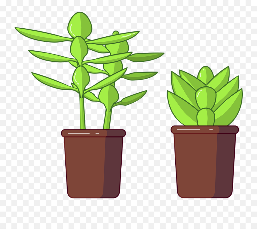 Succulents Succulent Vector - Png Vector Succulent,Succulent Png