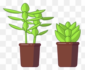 Succulents Succulent Vector - Png Vector Succulent,Succulent Png