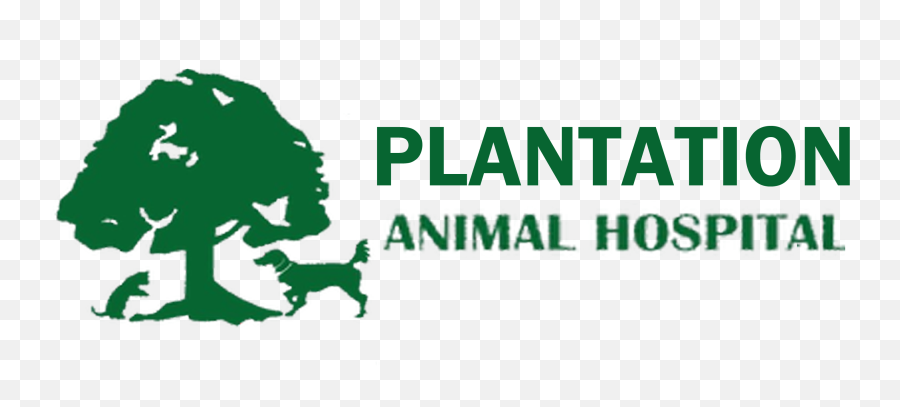 Home Veterinarian In Clayton Nc Plantation Animal Hospital - Graphic Design Png,Animal Logo