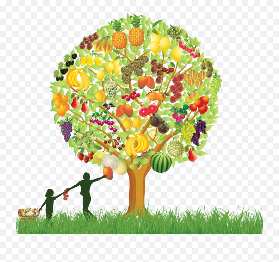 Fruit Tree Png Image With No Background - Transparent Fruit Tree Png,Fruit Tree Png