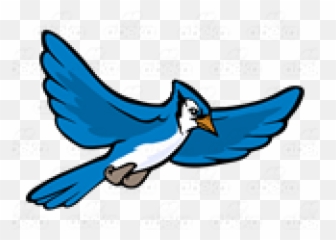 Jay Clipart Flying Blue - Flying Blue Jay Clipart Png,Blue Jay Png