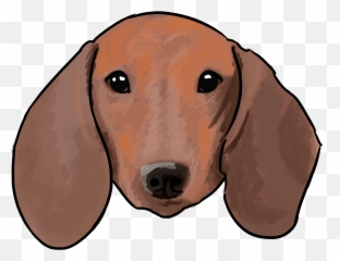 Dachshund Png - Dog,Dachshund Png