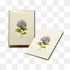 Hydrangea Png