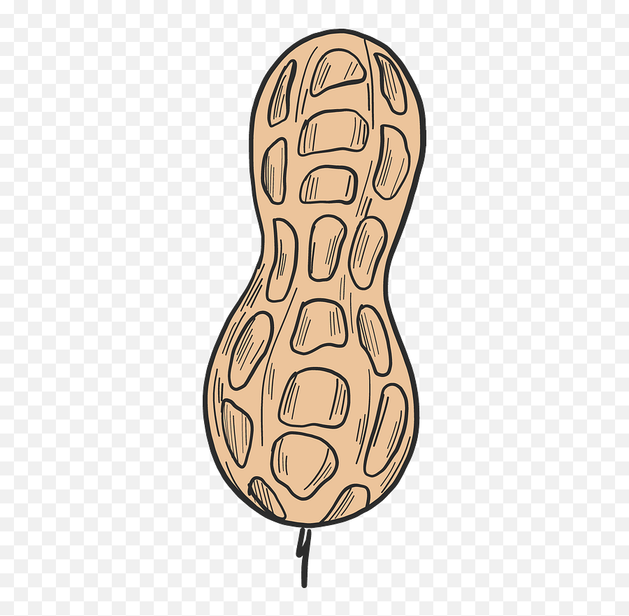 peanut clip art