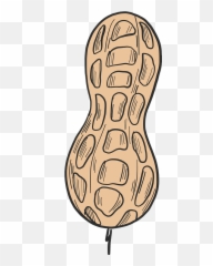Peanut Clipart Free Download Transparent Png Creazilla - Clip Art,Peanut Png
