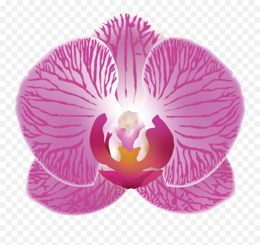 The Case For More Plantmoji U2013 Discover Share - Moth Orchid Png,Sunflower Emoji Png
