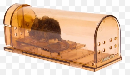 6 Ways To Get Rid Of Mice Without Killing Them U2014 Travis - Non Harmful Mouse Traps Png,Trap House Png
