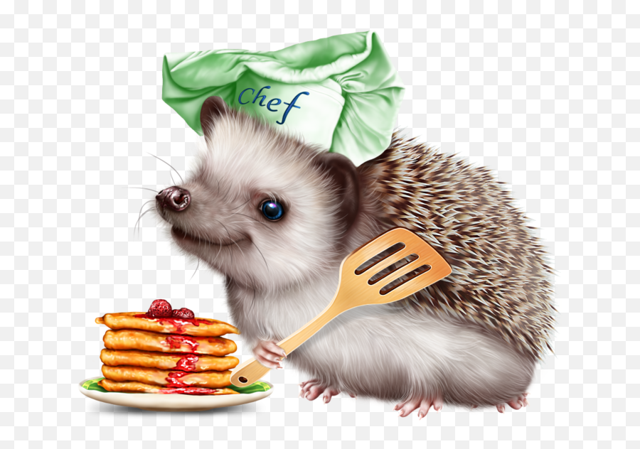 Download 6314590 Hedgehog And Pancakes12 Tube - Hedgehog With A Pancake Png,Hedgehog Transparent