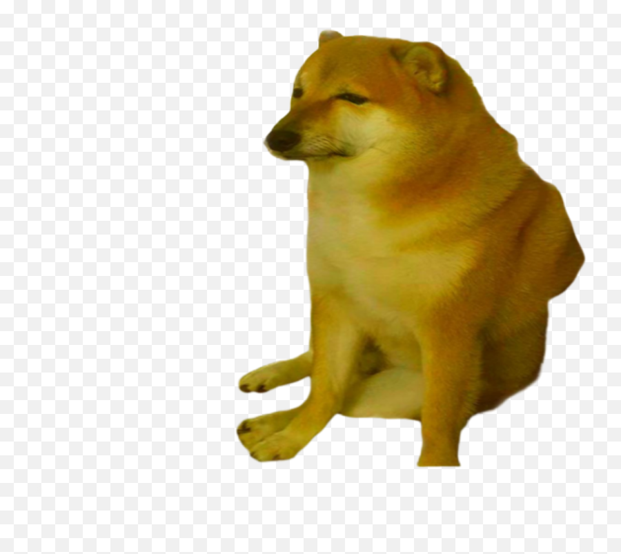 You Ask Receive Sad Cheems Png Dogelore - Cheems Doge,Shiba Inu Png