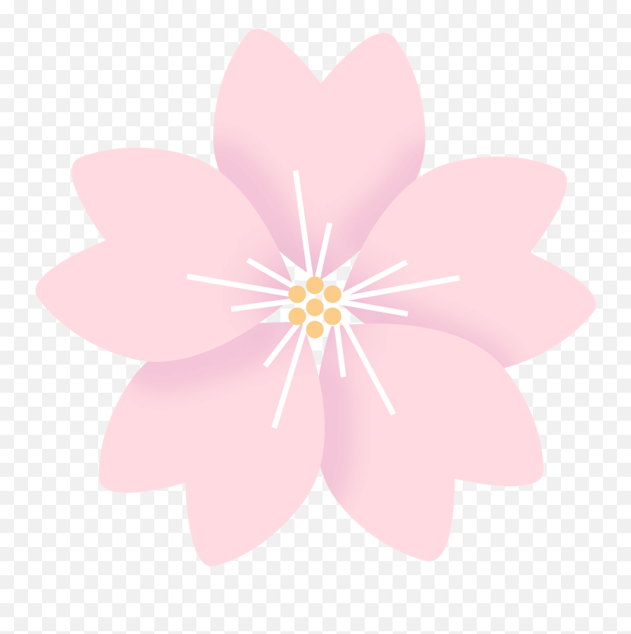 Sakura Flower Clipart - Cherry Blossom Png,Sakura Transparent