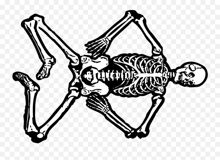 Dead Cartoon Fish 17 - Halloween Skeleton Greeting Card Skull Body Vector Png,Fish Skeleton Png