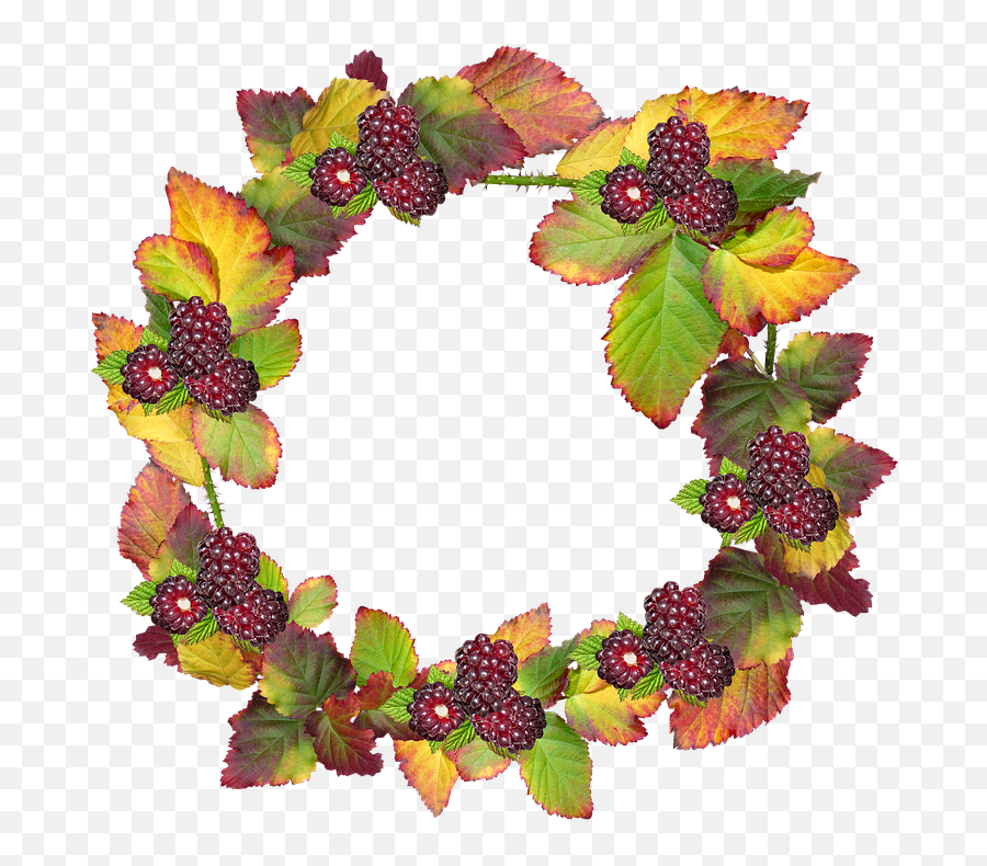 Leaves Wreath Frame Border - Free Photo On Pixabay Bingkai Daun Lingkaran Png,Fall Frame Png
