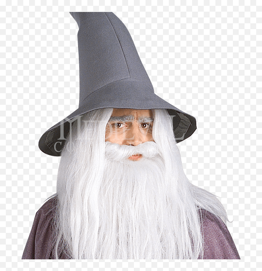 Gandalf - Lord Of The Rings Gandalf Png,Witch Hat Transparent Background