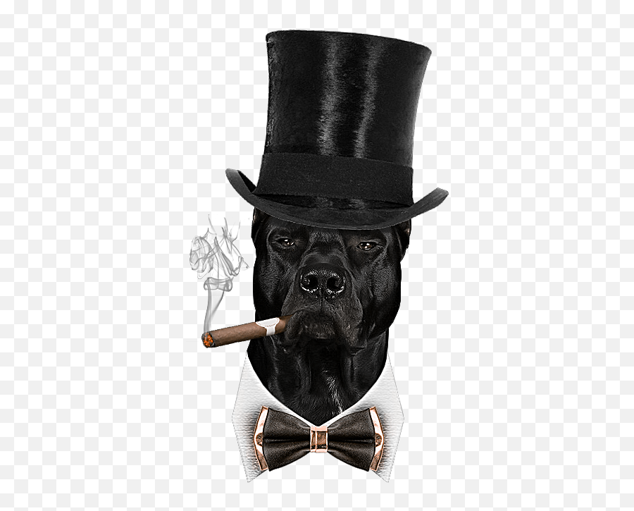 Dog Cigar Png - Boxer,Cigar Png