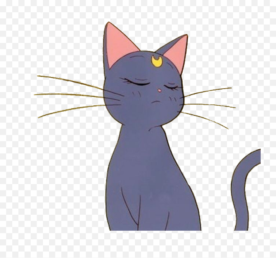 Sailormoon Cat Luna Cute Kawaii Anime - Sailor Moon Cat Transparent Png,Anime Cat Png
