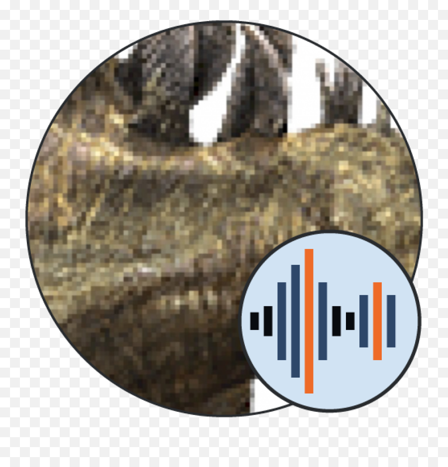 Stegosaurus Sounds - Scaled Reptiles Png,Diva Overwatch Icon