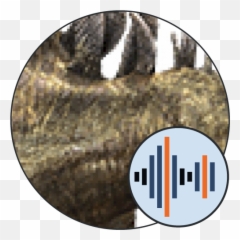 Stegosaurus Sounds - Scaled Reptiles png
